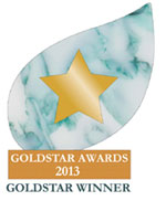goldstar winner logo 2013