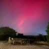 images/malkintower/crop-night-sky.jpg